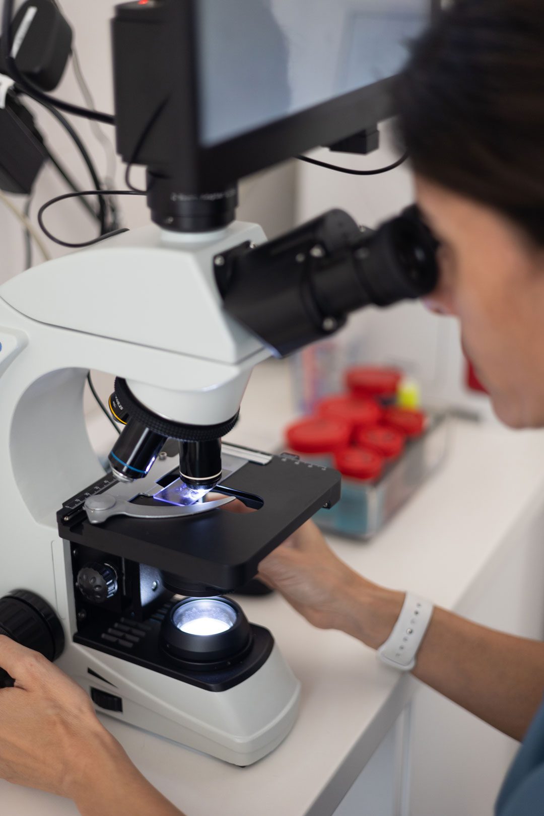 Veterinarian Looking Through Microscope