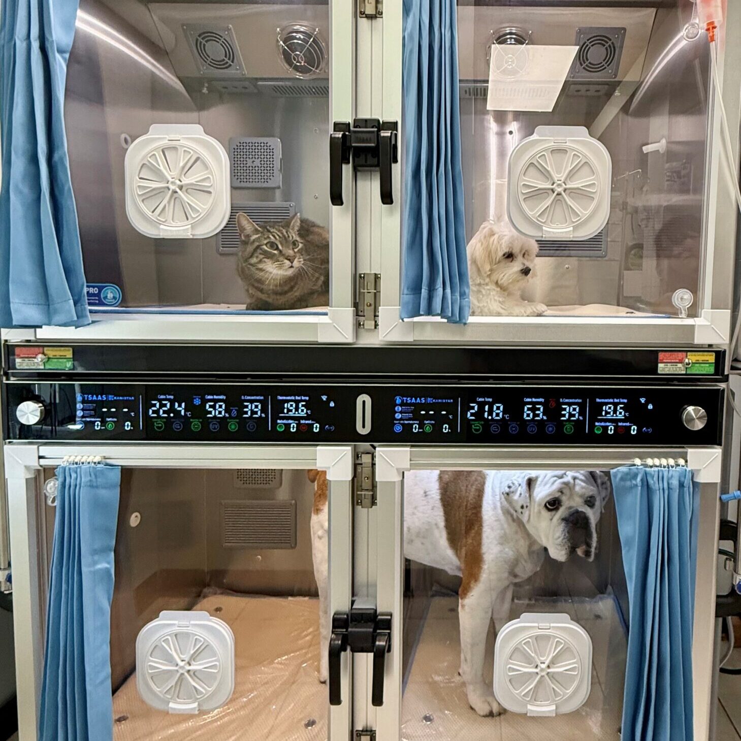 Icu Unit Icu Unit